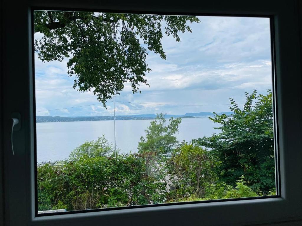 Nice Apartment With1 Bedroom Separate Living Room With A Sofa Bed And A Tiny Kitchen A Bathroom Located In Nordstrand Near By The Sea For 3 Guests With A Garden And Grill 5 Extra Guests With Extra Cost In The Cabin With Sea View Just Outside The Apar Oslo Bagian luar foto